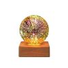 USB 3D Firework Crystals Ball Night Light Plug In Romantic Star LED Night Light Christmas Lights Christmas Home Decorations